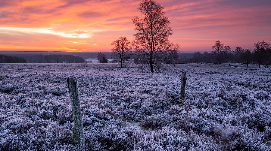 mueden_wietzer-berg-winter-schnee_ccbysa_tl_20190130_3-sfconflict-vdbatlueneburger-heidede-2022-12-19-12-49-07_2