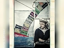 Nagelritz- Container Bingo