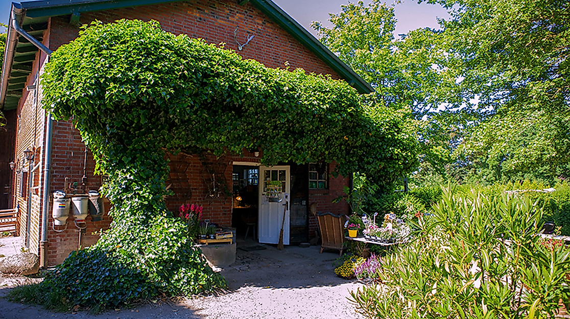 hof-neun-linden-2500x1500web