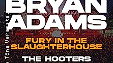 Open R Festival 2025 - Bryan Adams, Fury in The Slaughterhous, The Hooters