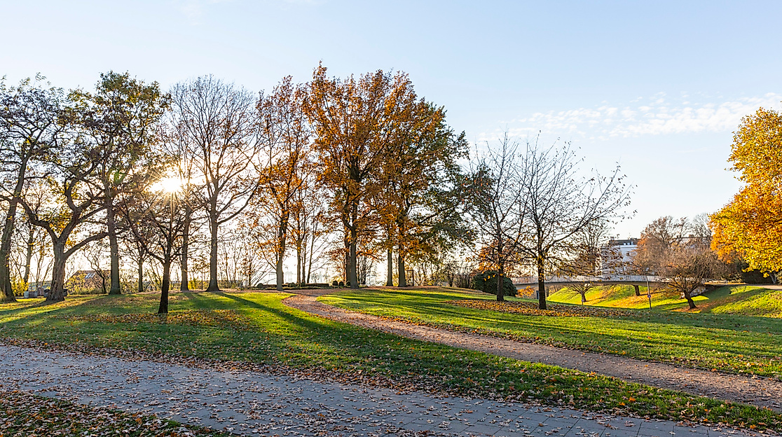 Herbstliche Parklandschaft Altonaer Balkon in Hamburg mit Sonnenlicht zwischen Bäumen und Spazierweg im Vordergrund