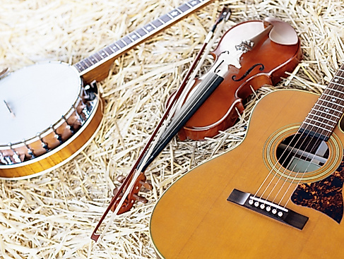 Bluegrass- and Oldtime Session