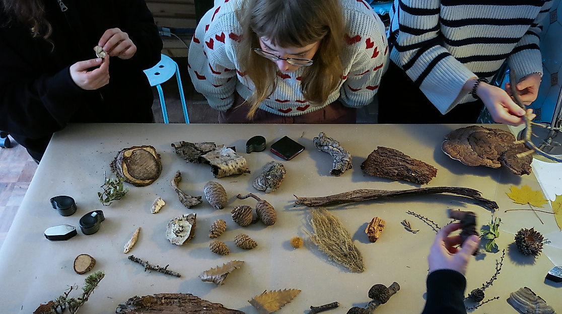 ars-eco-lab-Kunst-Natur-Retreat-Elbtalaue