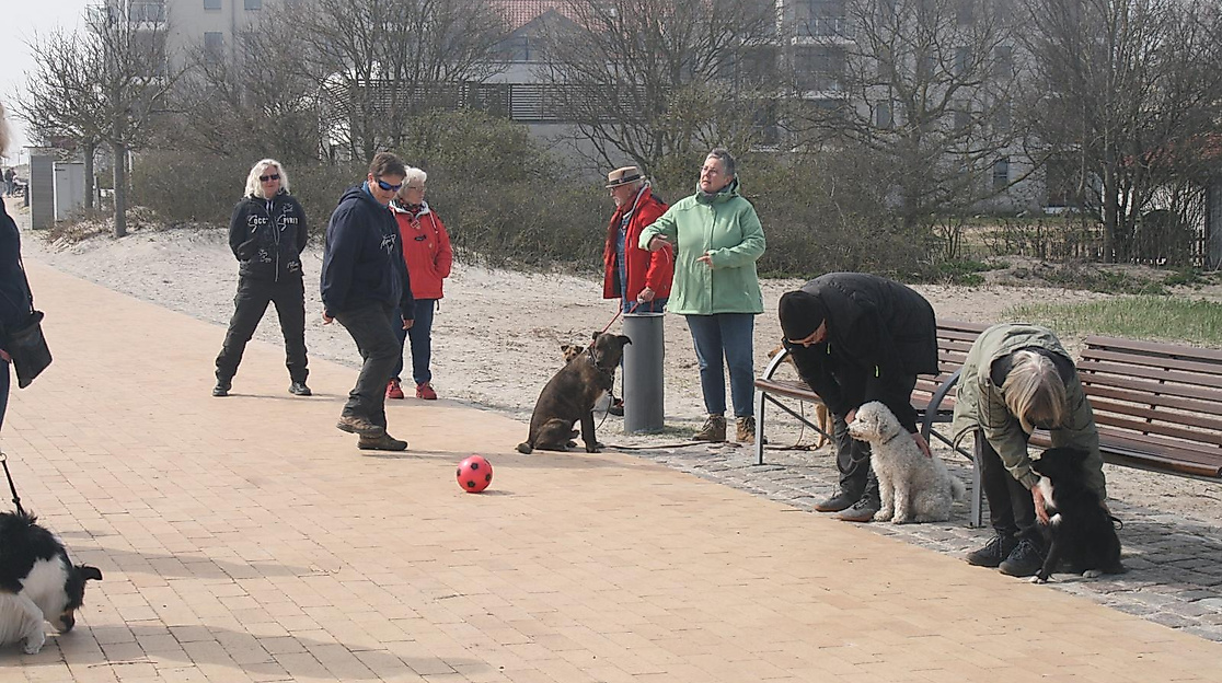fehmarn-seminar