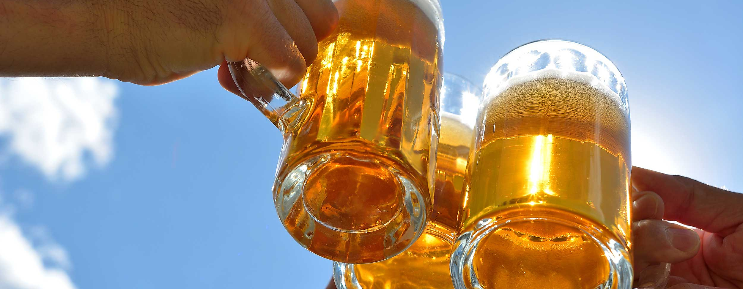 Biergarten-Tour-c-mhp-AdobeStock_87912992