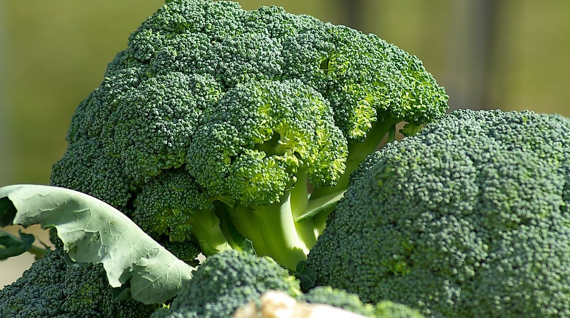 Wochenmarkt im Meurerweg