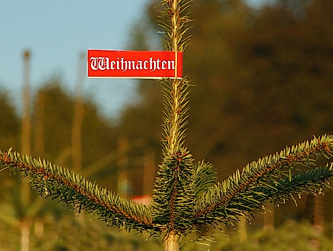 Tannenbaum-Verkauf der Freiwilligen Feuerwehr