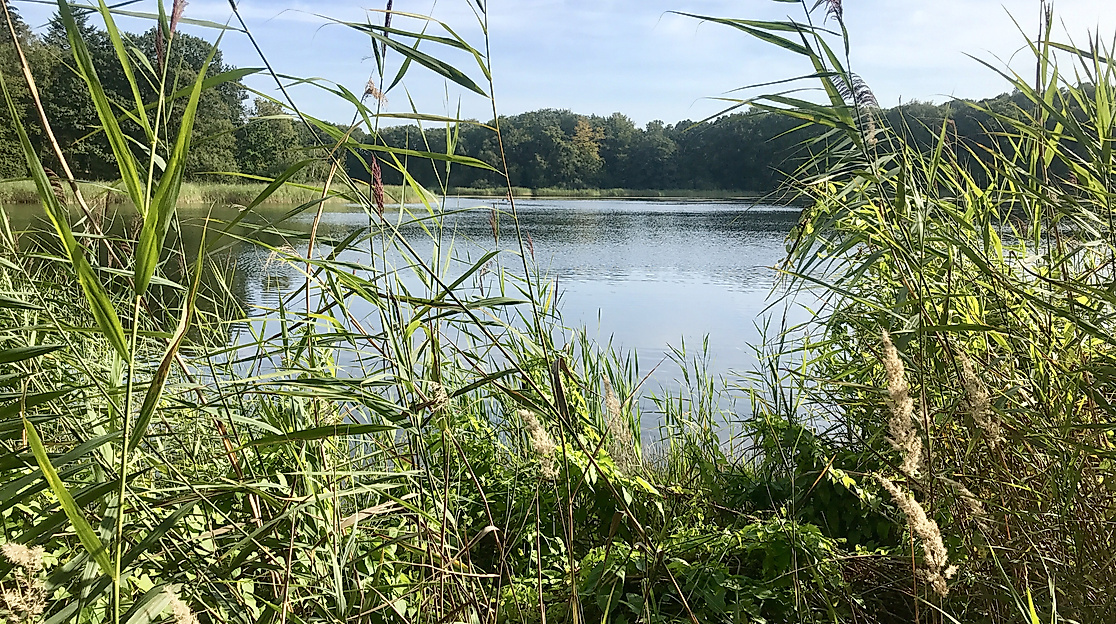 bredenbeker_teich_c-cairomoon_pixabay_4836494