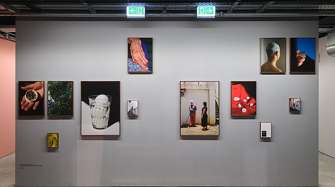 Ana Maria Sales Prado, It is the aura of my fingers that sees the egg, Ausstellungsansicht States of Rebirth