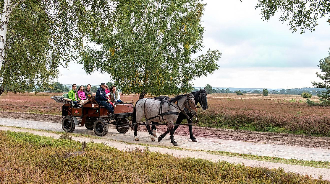 Bustour - Raus aus der Stadt, ab in die Heide