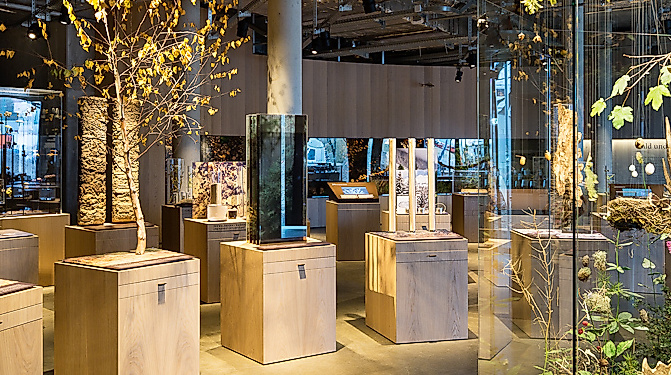 Science Center im Wälderhaus