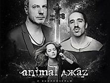 Animal Jazz