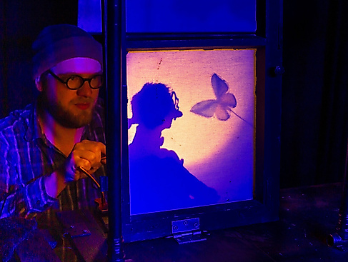 Die Werkstatt der Schmetterlinge