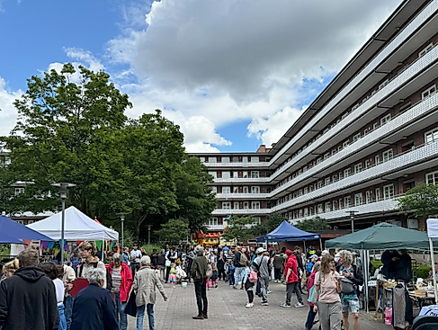IMG_20250325_163719