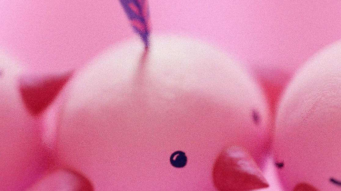 Mo&amp;Friese heben ab