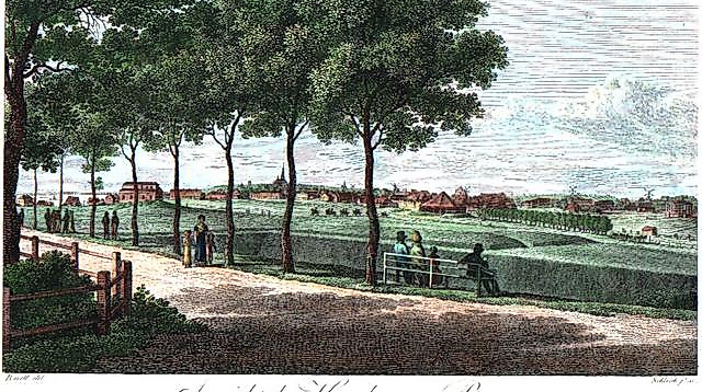 product-img-f3577c32fda6c4c2db8af6be71231233ba051705-full