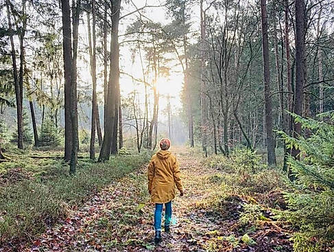 Gnarrenburg erleben: "Waldyoga und Yoga Walking"