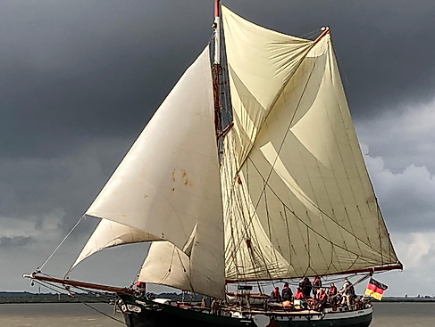Mit Frieda nach Glückstadt und zurück - Gemüse unter Segeln