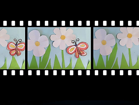 25-06-14 Filmstreifen_Schmetterling Barbara Kranz-Zwerger