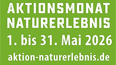 Wildkräuter: Die erste Ernte