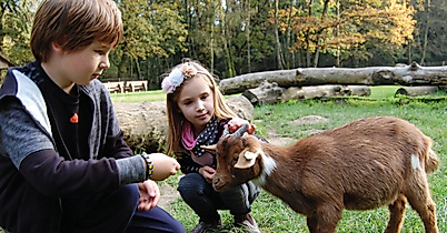 Wildpark Schwarze Berge