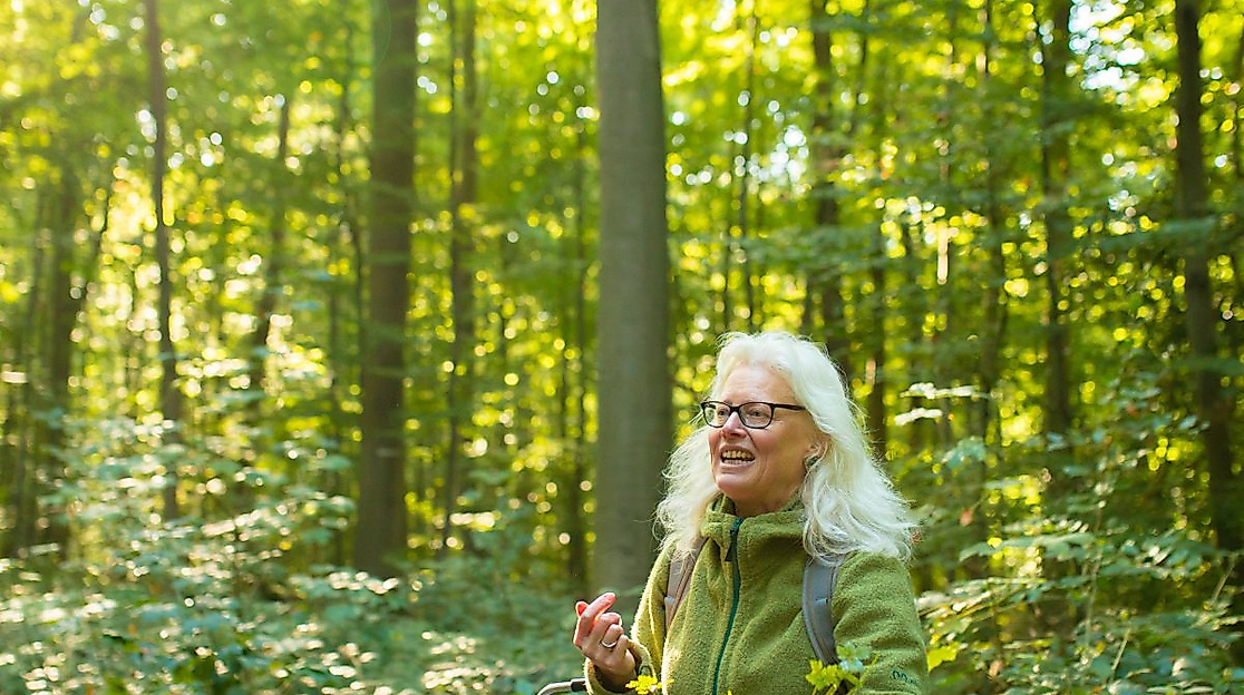 Wildkräuterexpedition wie schmeckt der Frühling