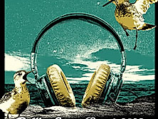 ROLLING STONE BEACH 2025 - Festivalpass ohne Übernachtung