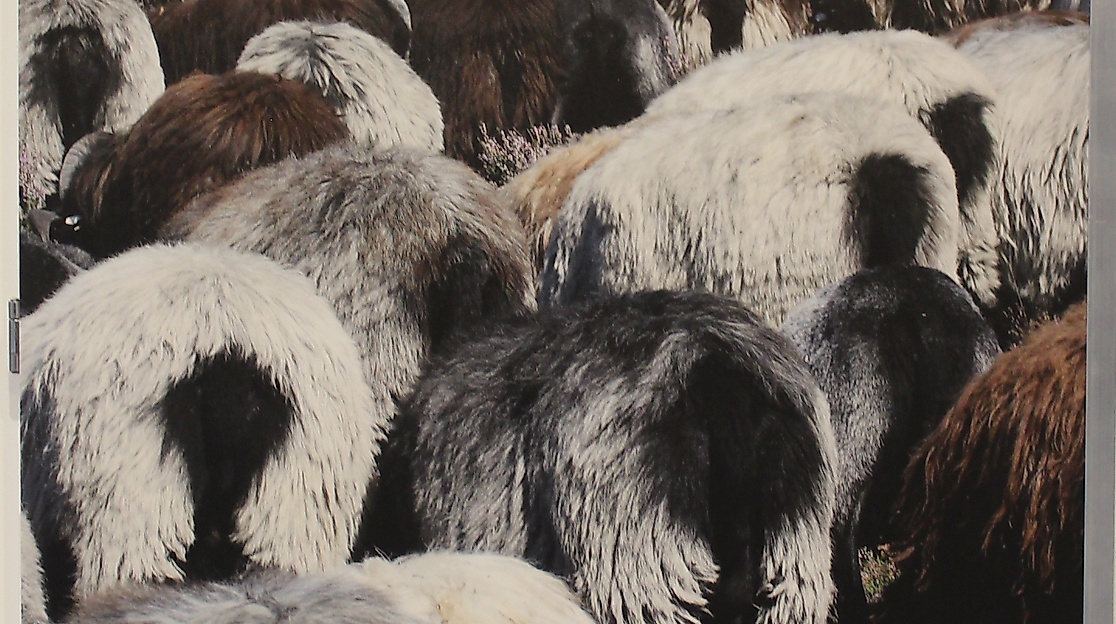 Ausstellung Zügig in die Zukunft