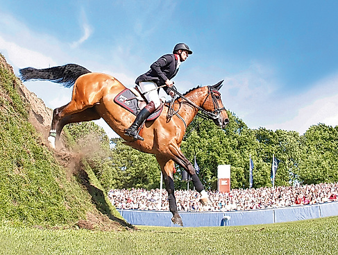 Derby2014 Titelmotiv Thieme 15x10