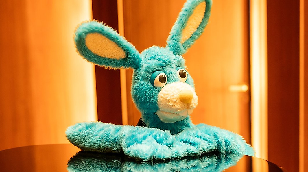 Hasi-Konzert
