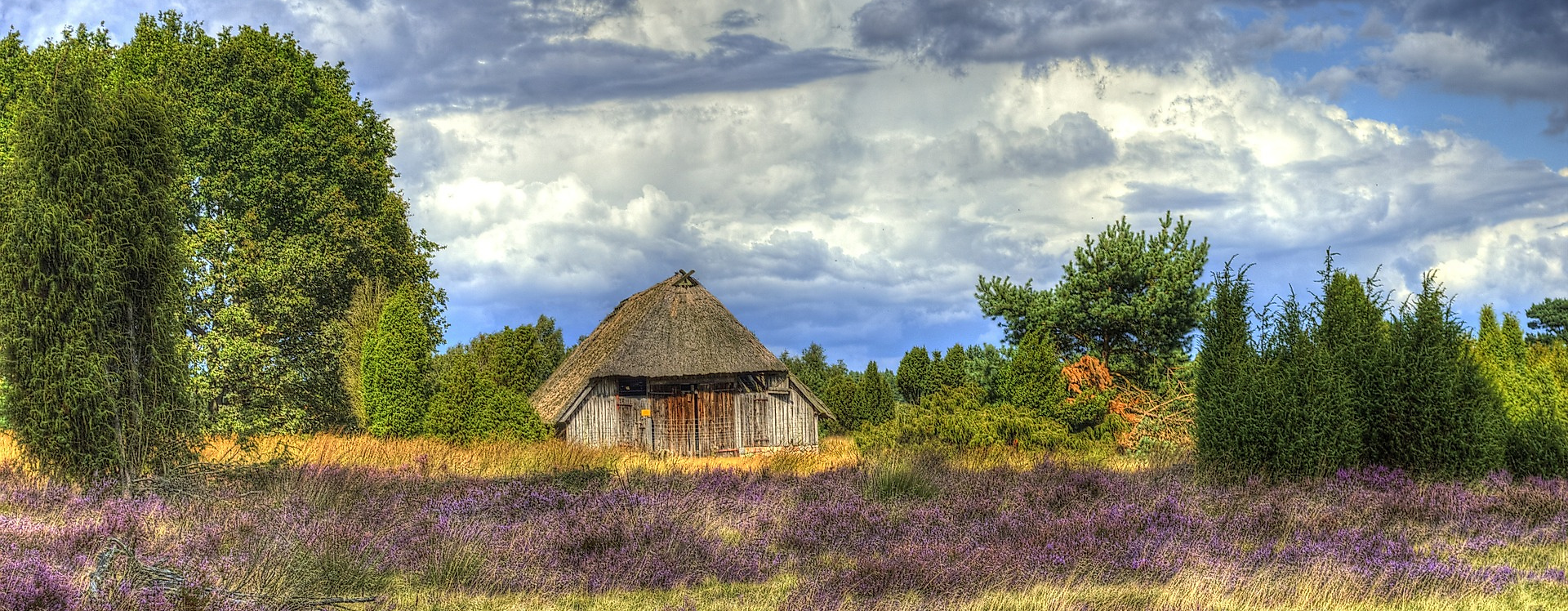 Lueneburger Heide