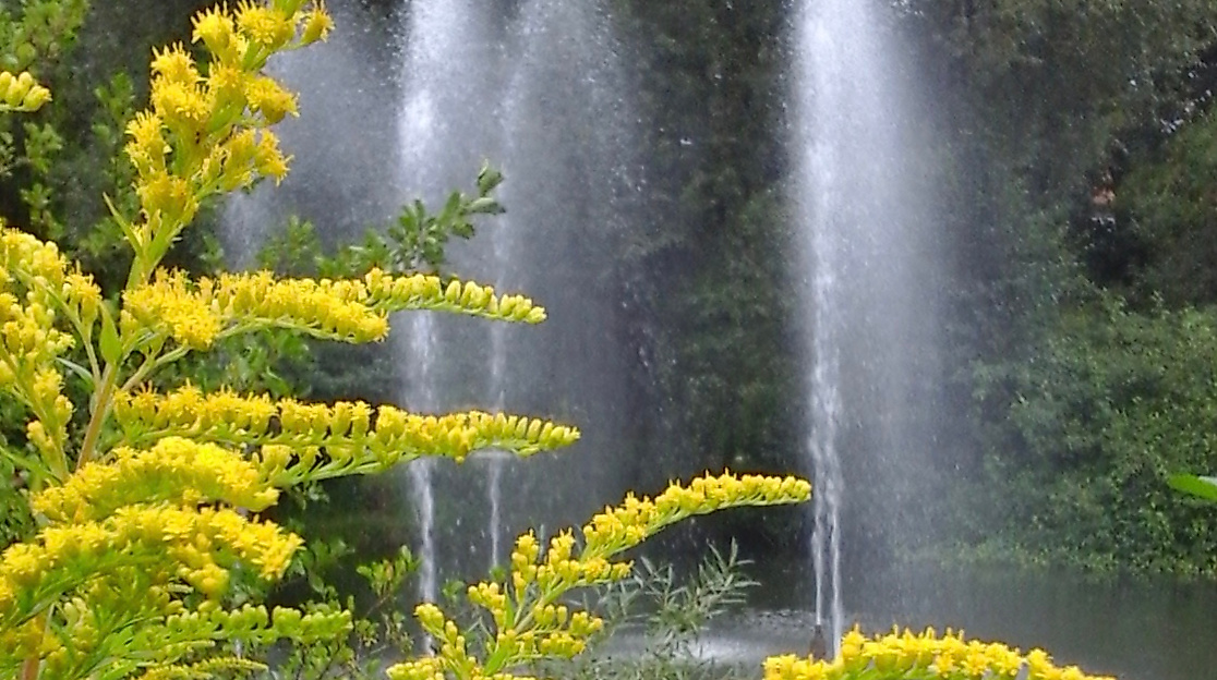 Fontäne im Kurpark
