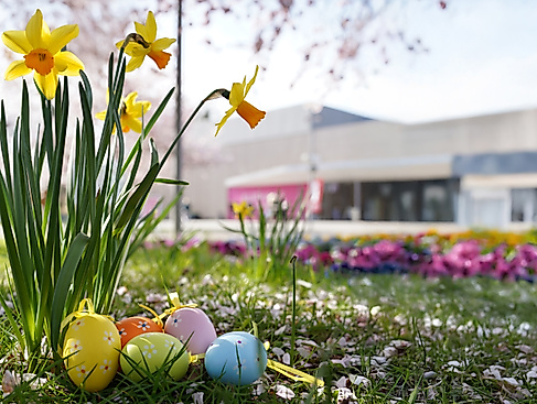 Ostereiersuche im Kurpark Bad Bevensen