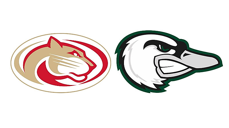 Hollenbach Gameday: Lübeck Cougars - Hamburg Swans