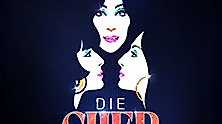 Die CHER Show - Das offizielle Musical von und über Cher