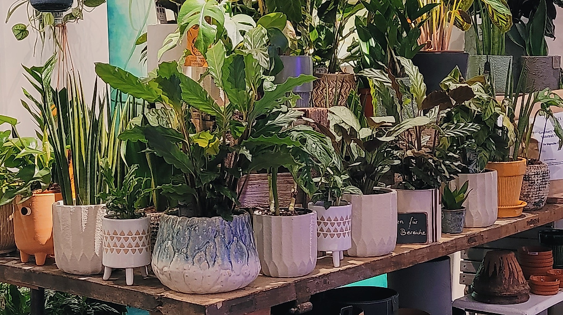 image00038-c-casou-greenery