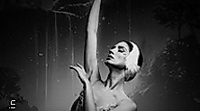 Grand Classic Ballet - Schwanensee - Jenseits der Bühne mit live Streichquartett