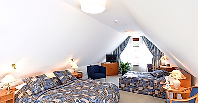 hotel-mellingburger-schleuse_c-hotel-baseler-hof-8