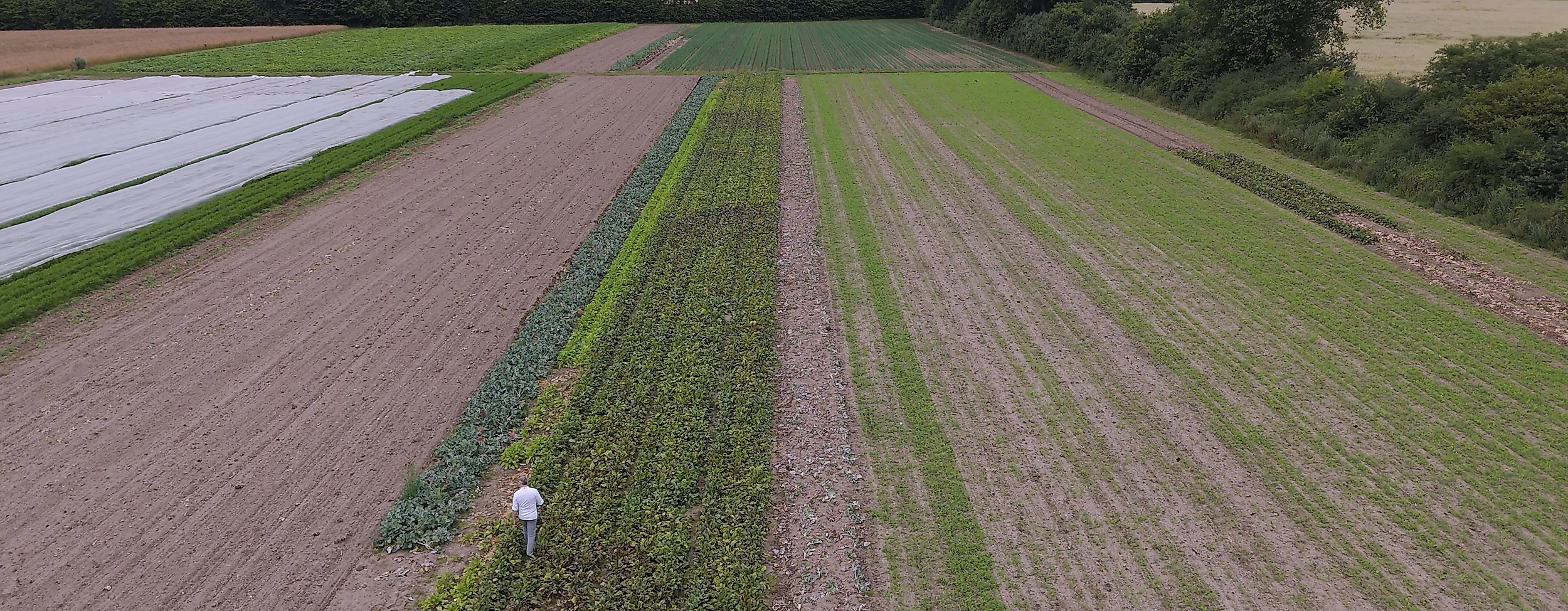 Gutsküche Wulksfelde