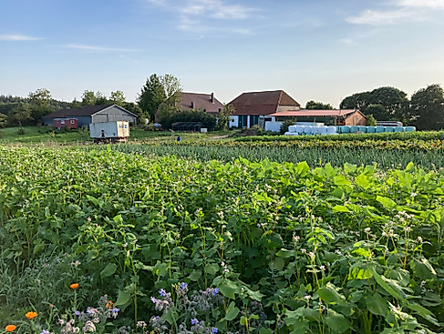 Rundgang auf dem Bio-Hof Windberg