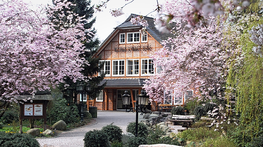 Der Wildpark Schwarze Berge im Frühling