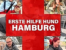 Rudel - Erste Hilfe am Hund