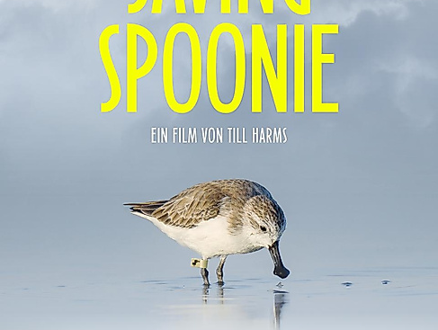 saving-spoonie
