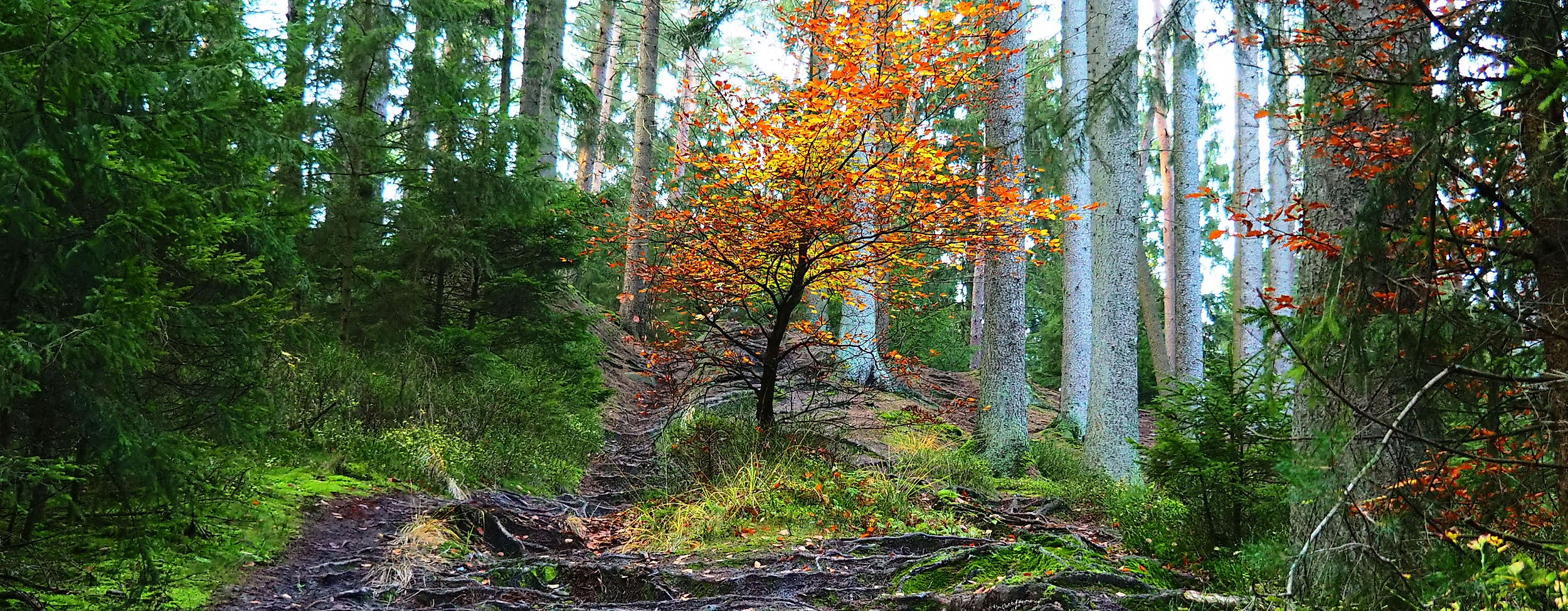 Harburger Berge