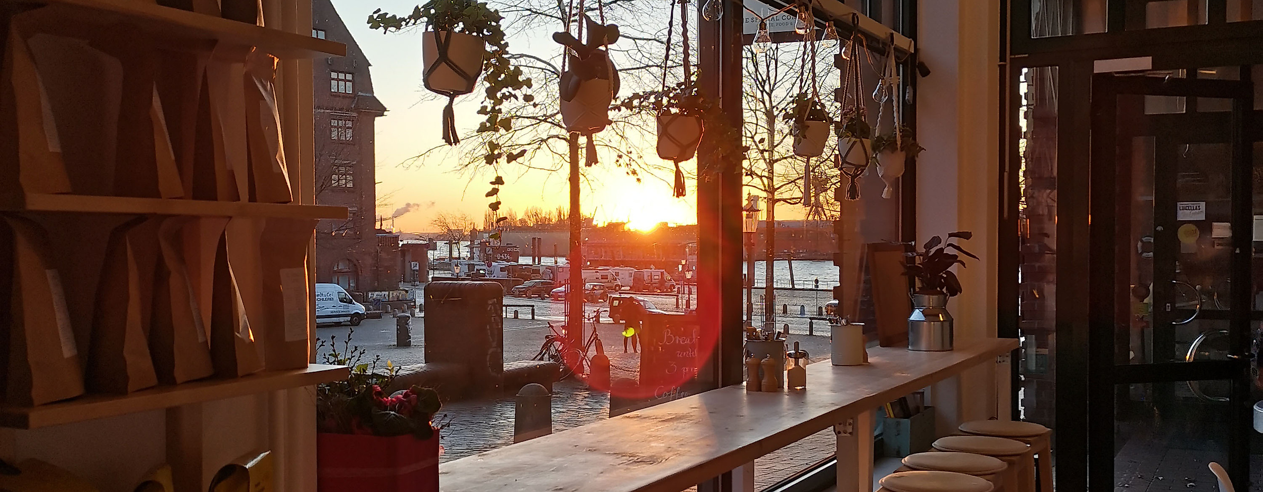 The Special Connection