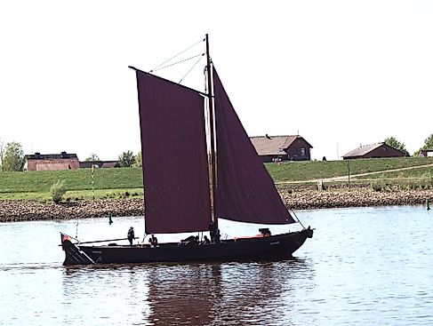 Uns Ewer unter Segeln auf der Elbe