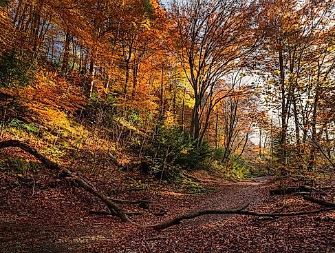 Herbstwanderung zum „Melzinger Opferstein“