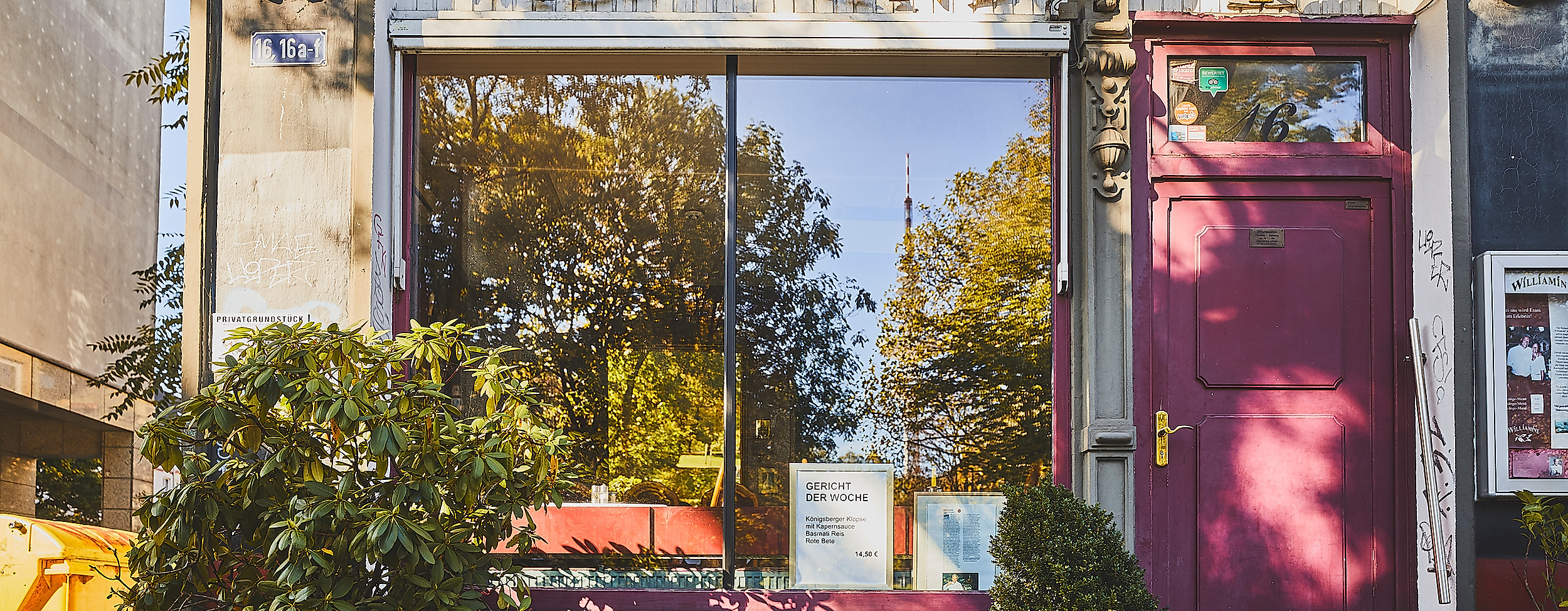 williamine_c-2018-thisisjulia-photography-4