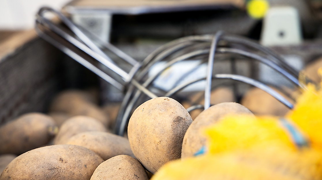 Wochenmarkt Kartoffeln