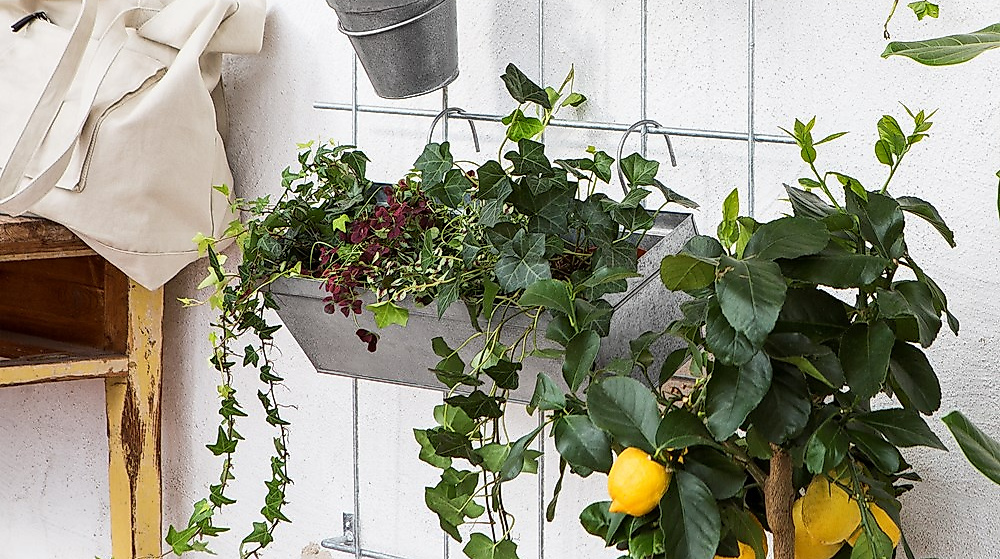 granit-store_c-granit_06_1